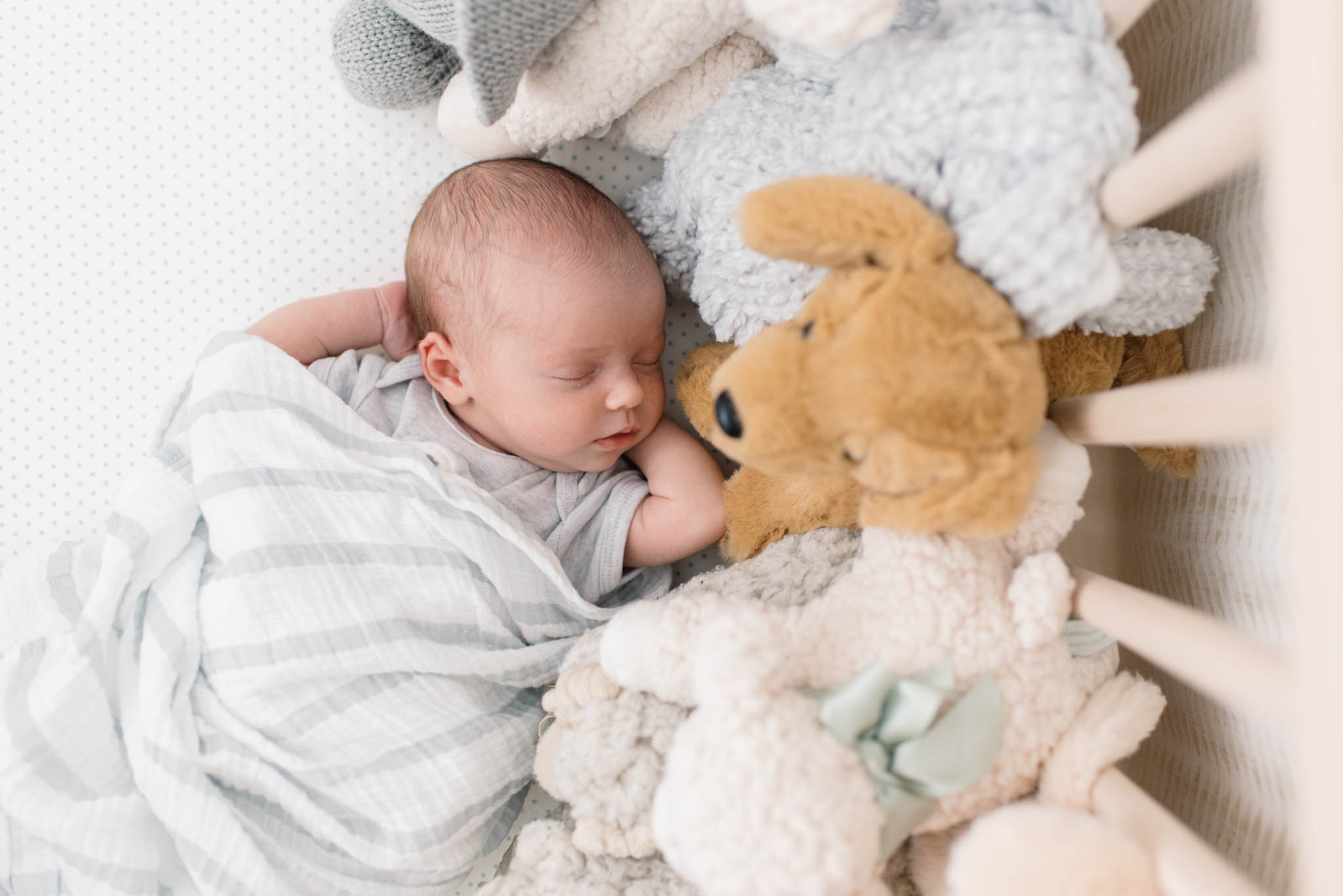 In-Home Newborn Session | Baby Margot | Olive Photography